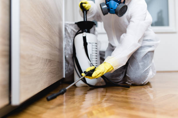 Best Cockroach Control Services  in Joshua Tree, CA