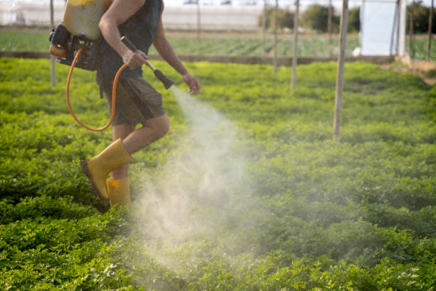 Best Residential Pest Control  in Joshua Tree, CA