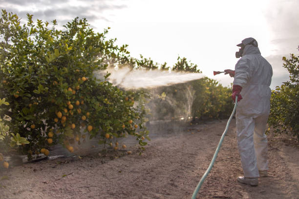 Pest Control for Restaurants in Joshua Tree, CA