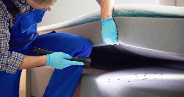 Best Commercial Pest Control Services  in Joshua Tree, CA