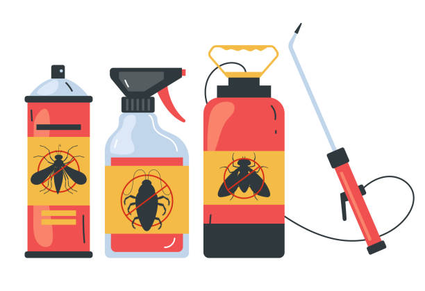 Best Bed Bug Extermination  in Joshua Tree, CA