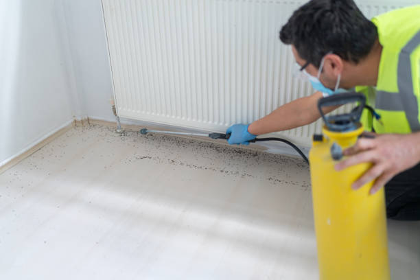 Best Pest Inspection Near Me  in Joshua Tree, CA