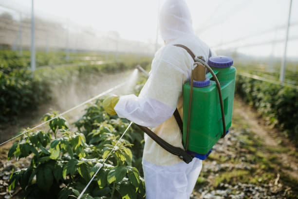Reliable Joshua Tree, CA Pest Control Solutions